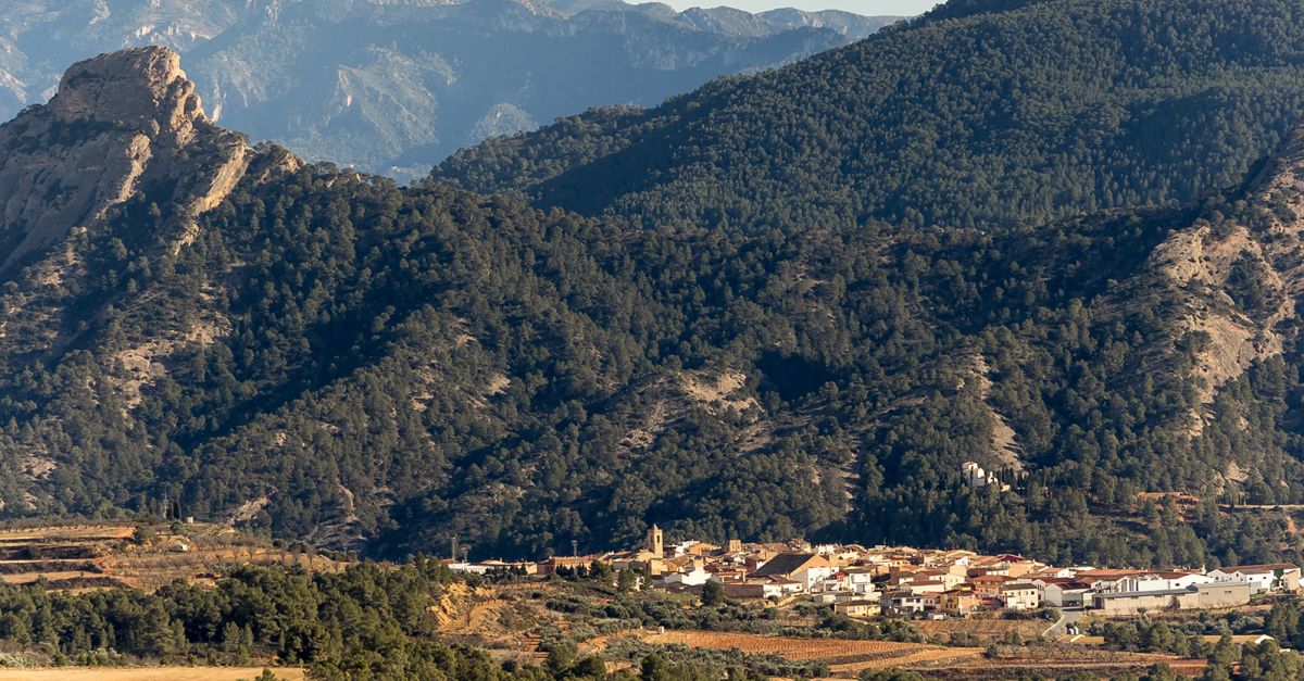 Aquest cap de setmana Bot inaugura el Cicle Estacions al voltant de les arts en viu, el vi, la gastronomia i el mn rural