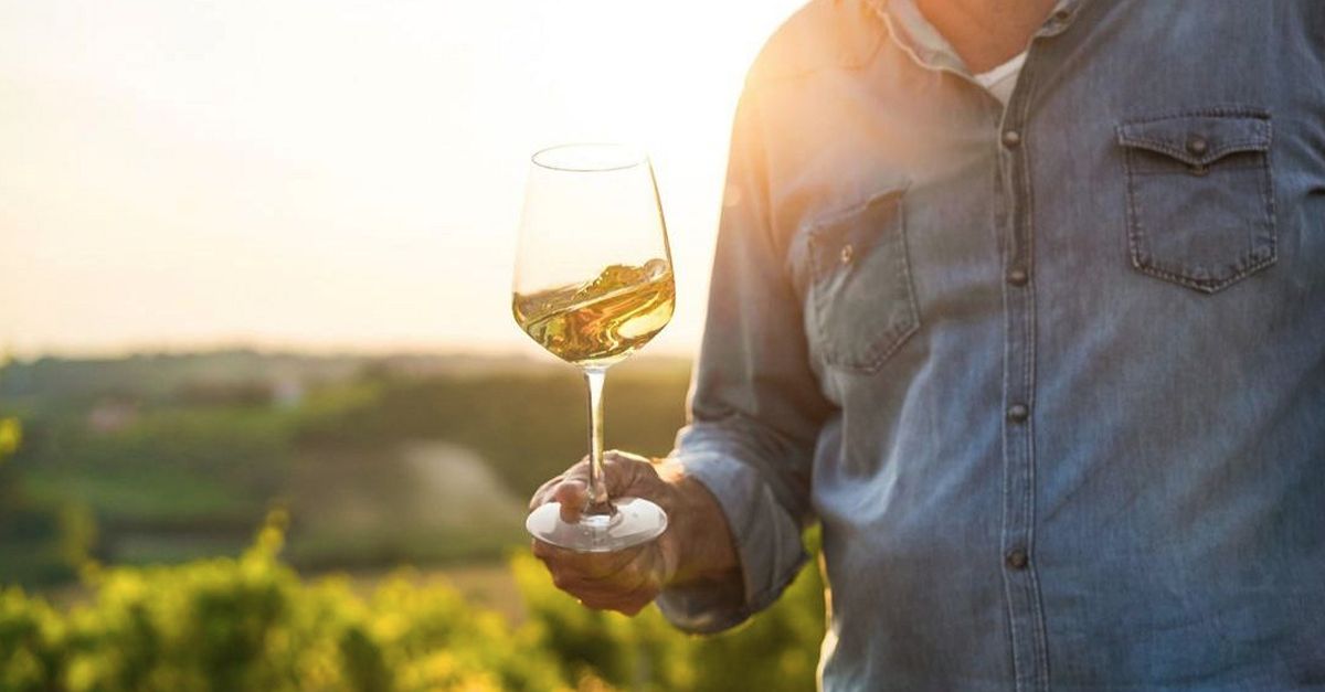 Bot reivindica la seua tradici vincola amb una Mostra de Vins Brisats | EbreActiu.cat, revista digital d’oci actiu | Terres de l’Ebre ...