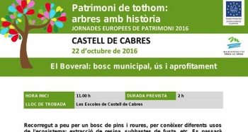 El Boveral: bosque municipal, uso y aprovechamiento