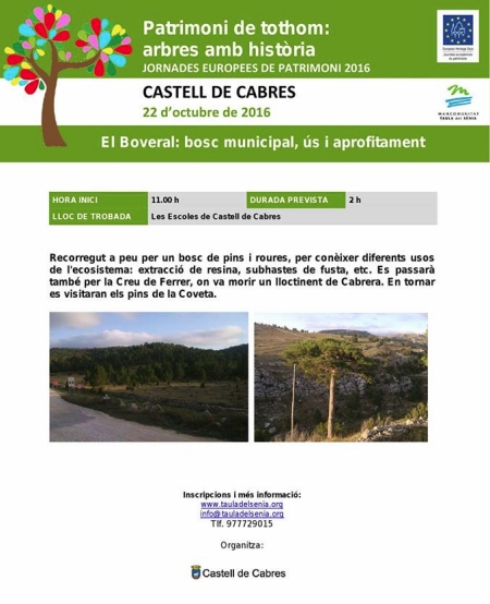 El Boveral: bosc municipal, ús i aprofitament El Boveral: bosc municipal, ús i aprofitament
