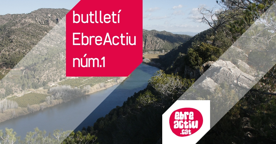 Butllet EbreActiu n.01