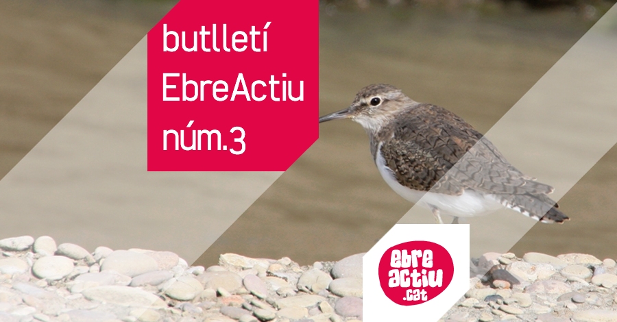Butllet EbreActiu n.03