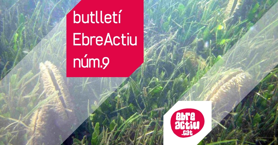 Butllet EbreActiu n.09