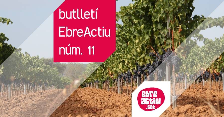 Butllet EbreActiu n.11