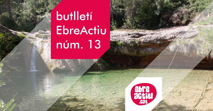 Butllet EbreActiu n.13