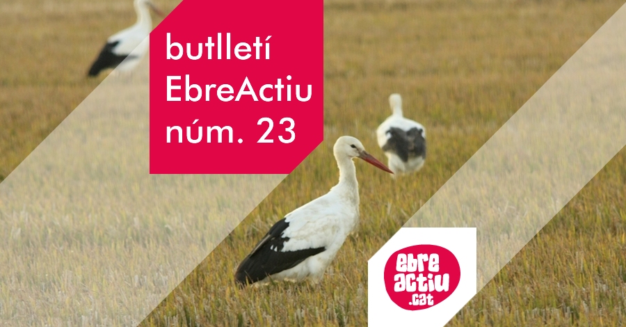 Butllet EbreActiu n.23