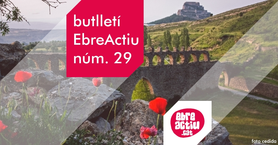 Butllet EbreActiu n.29
