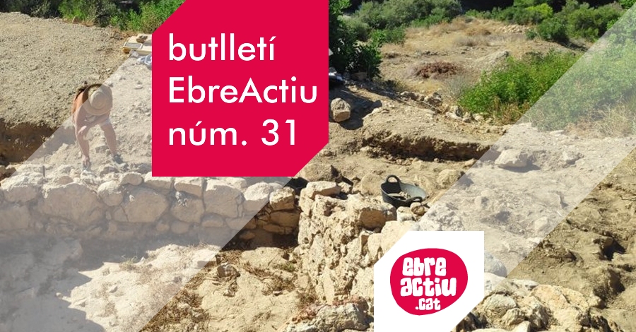 Butllet EbreActiu n.31