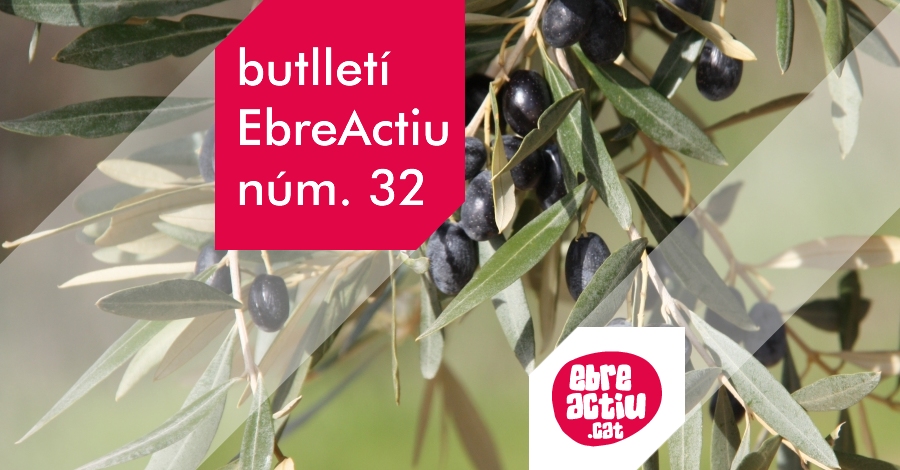 Butllet EbreActiu n.32