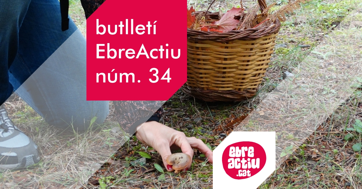 Butllet EbreActiu n.34