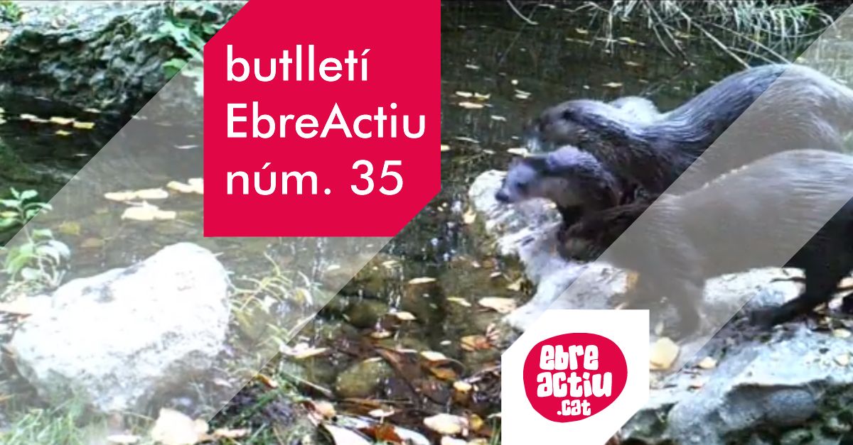 Butllet EbreActiu n.35