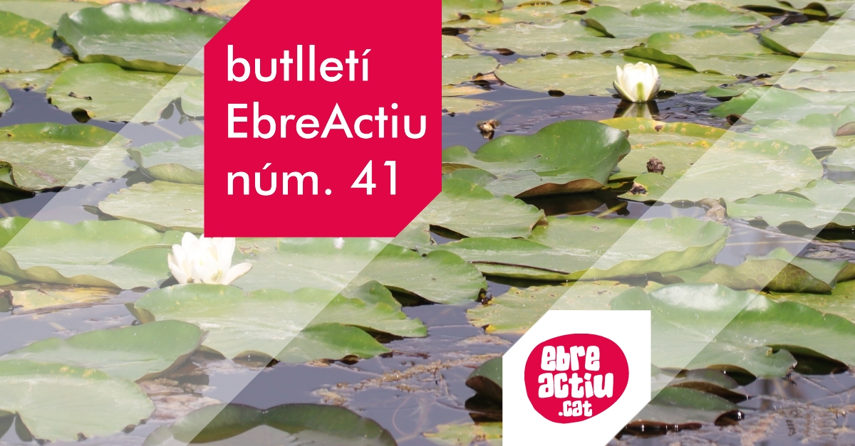 Butllet EbreActiu n.41