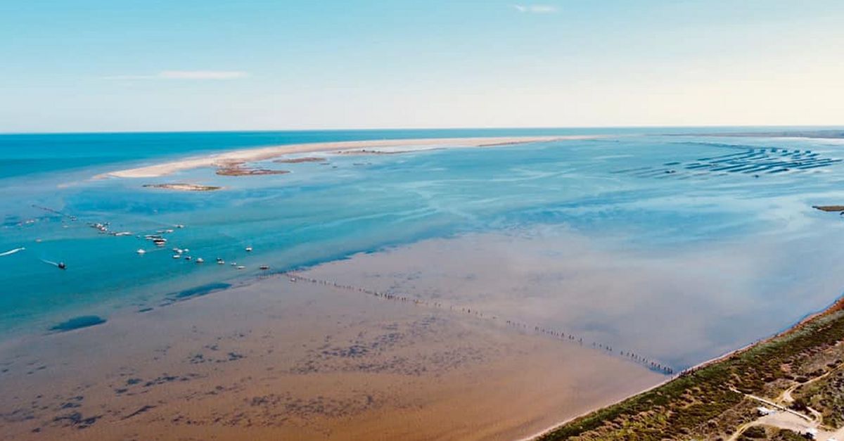 Centenars de persones fan una cadena humana a la badia del Fangar per denunciar la regressi del delta de lEbre
