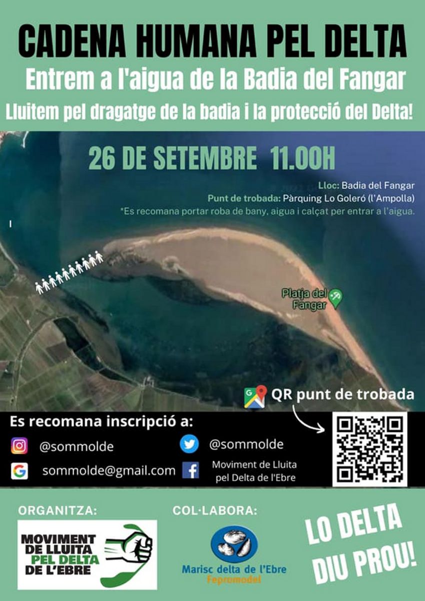 Cadena humana pel Delta. Entrem a l�aigua de la badia del Fangar