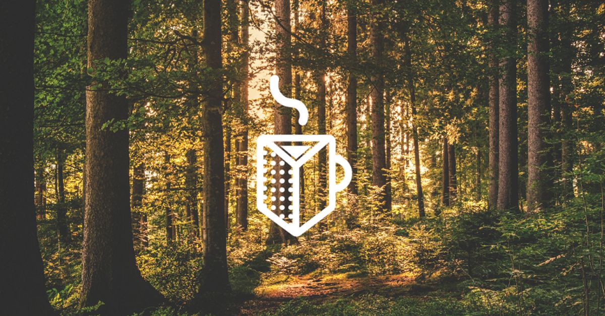 CafePrism�tic. Qu� fem amb els boscos madurs?