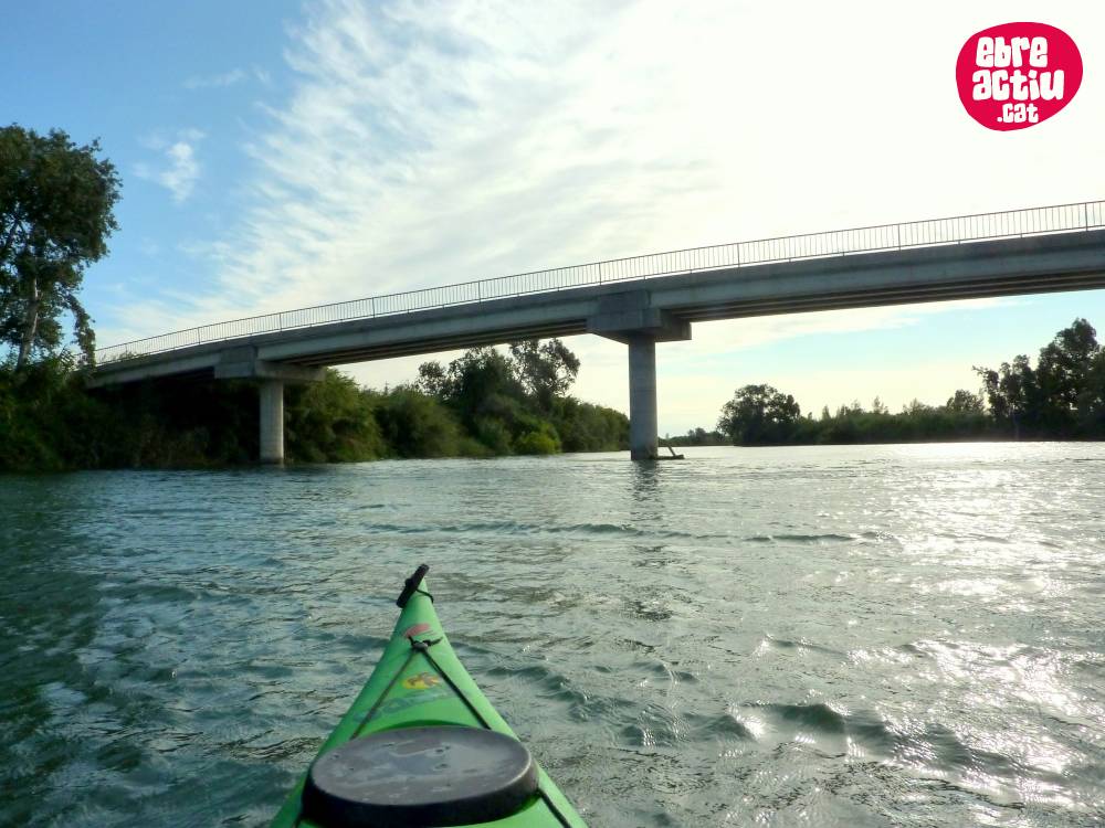 Illes de Gr�cia i Sapinya en caiac (riu Ebre) | EbreActiu.cat, revista digital d&rsquo;oci actiu | Terres de l&rsquo;Ebre ...