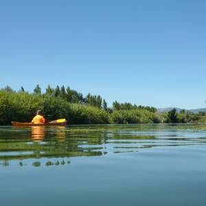 Illes de Gr�cia i Sapinya en caiac (riu Ebre)