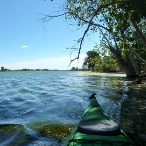 Illes de Gr�cia i Sapinya en caiac (riu Ebre)