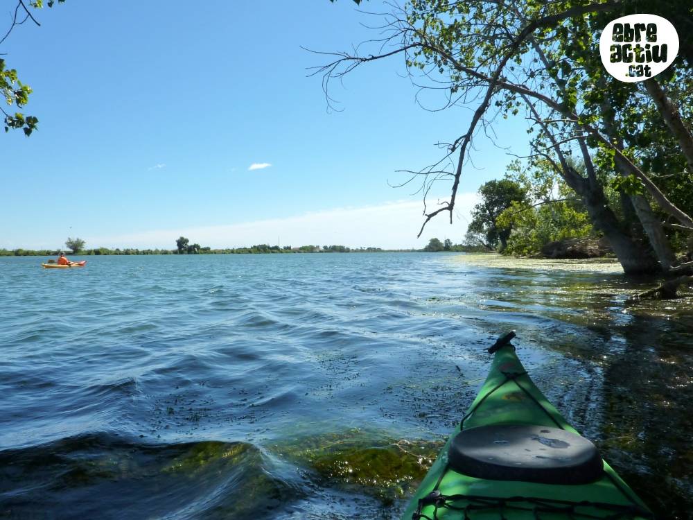 Illes de Gr�cia i Sapinya en caiac (riu Ebre) | EbreActiu.cat, revista digital d&rsquo;oci actiu | Terres de l&rsquo;Ebre ...