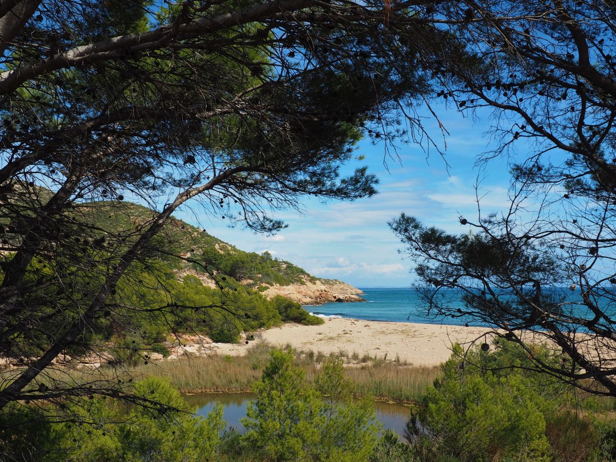Vandell�s i l&rsquo;Hospitalet de l&rsquo;Infant, on el mar es fa muntanya | EbreActiu.cat, revista digital d&rsquo;oci actiu | Terres de l&rsquo;Ebre ...