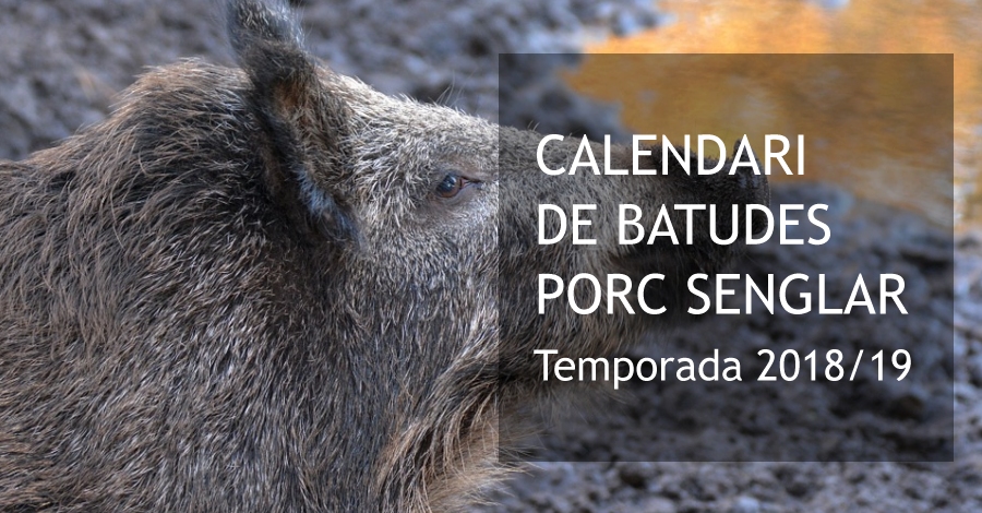 Calendari de batudes de porc senglar