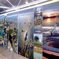 Camarles, lo balc� del Delta de l&rsquo;Ebre