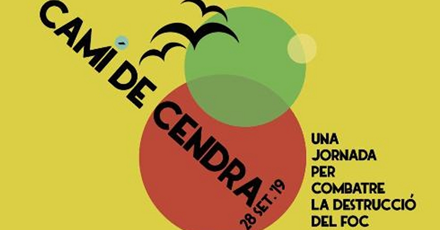 Cam� de cendra