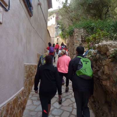 Celebrat el 51� Cam� de muntanya de la FEEC a Miravet