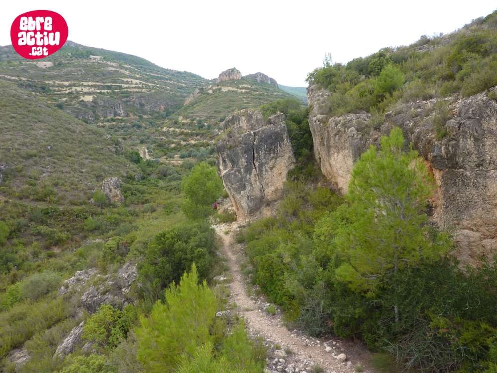 Celebrat el 51� Cam� de muntanya de la FEEC a Miravet | EbreActiu.cat, revista digital d&rsquo;oci actiu | Terres de l&rsquo;Ebre ...