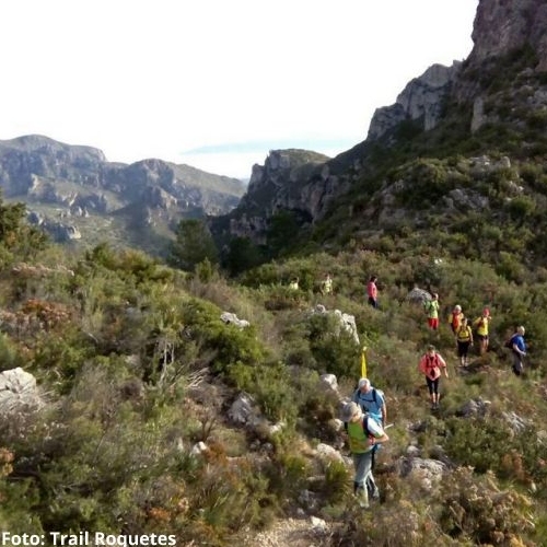 50 Cam de Muntanya de la FEEC 2014 de la 5a Vegueria