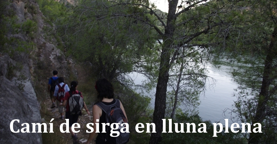 Camino de Sirga en luna llena