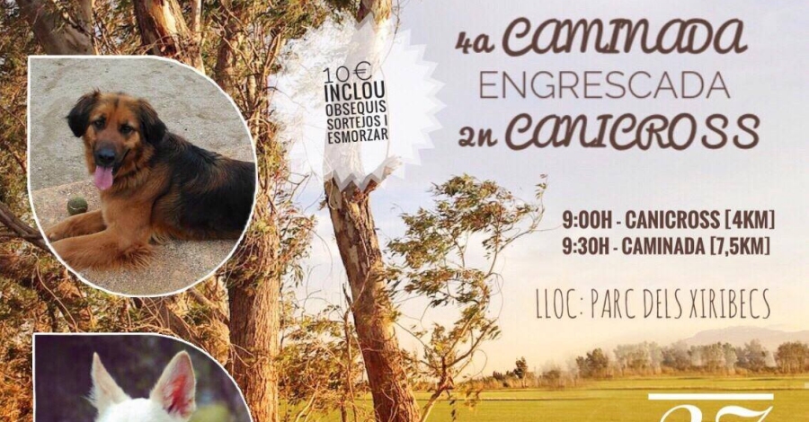 4� Caminata Engrescada y 2� Canicr�s