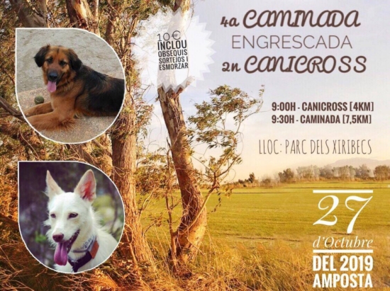 4a Caminada Engrescada i 2n Canicr�s