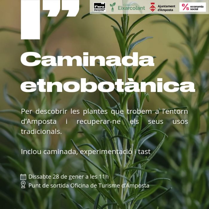 Caminada etnobot�nica