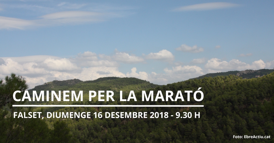 Caminem per la Marató Caminem per la Marató