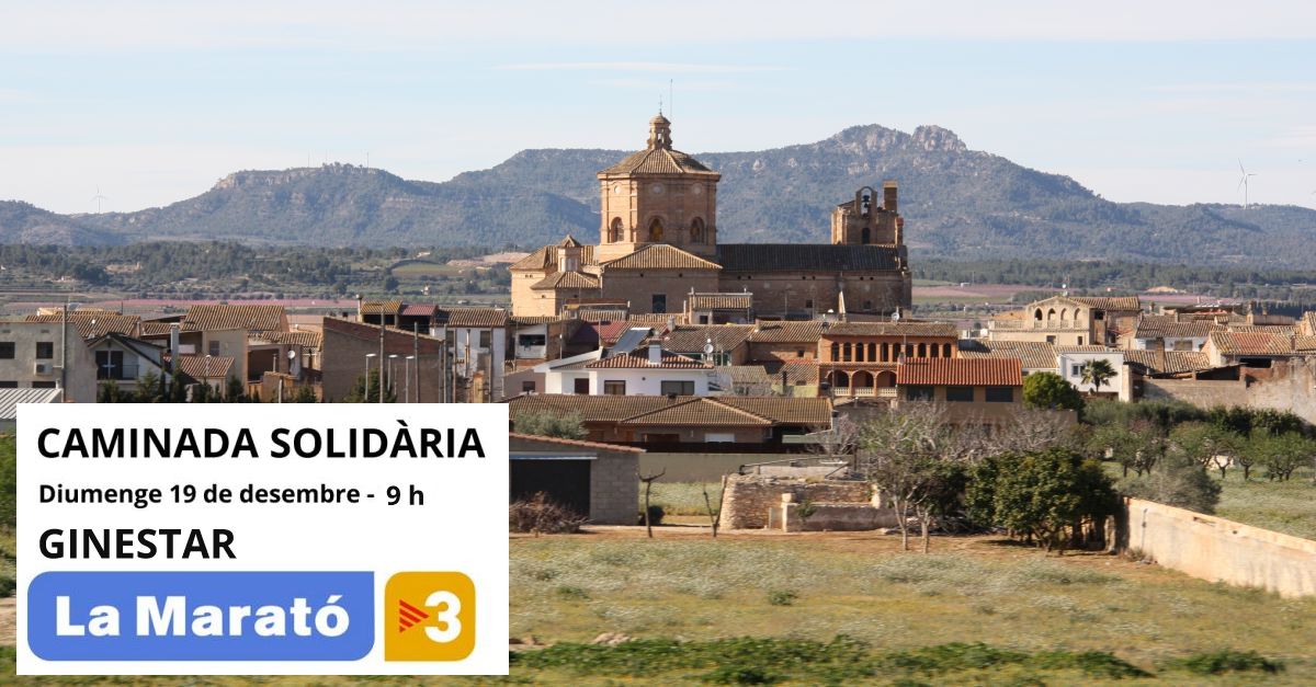 Caminada per la Marat� de TV3 a Ginestar