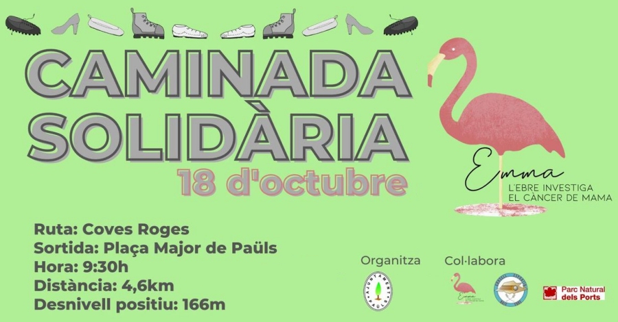 Caminada Solid�ria - Projecte Emma [AJORNADA]