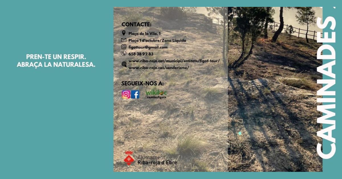 Caminada al capvespre sota la pluja d�estels