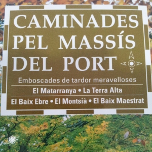 Caminades pel Masss del Port, de Vicent Pellicer Olls