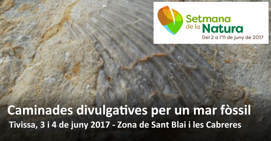 Caminades divulgatives per un mar fòssil Caminades divulgatives per un mar fòssil