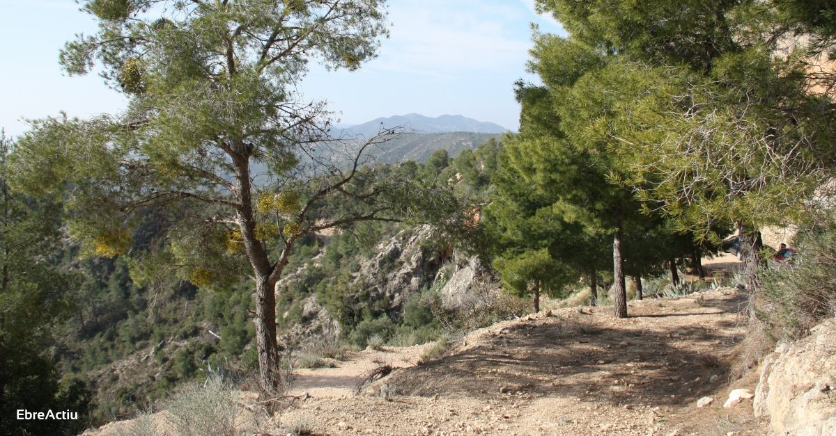 Caminos de la Duatl� de Garcia