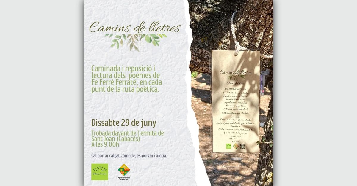 Camins de lletres Camins de lletres