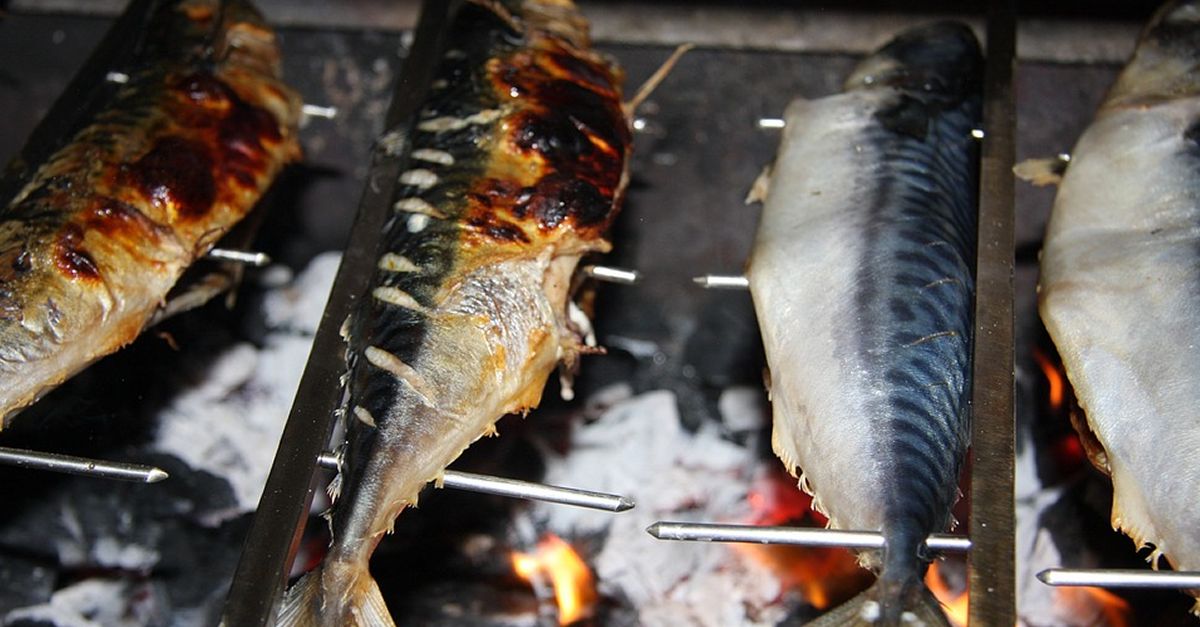 Campanya per promoure el consum d&rsquo;esp�cies pesqueres de proximitat poc conegudes i poc valorades pel consumidor | EbreActiu.cat, revista digital d&rsquo;oci actiu | Terres de l&rsquo;Ebre ...