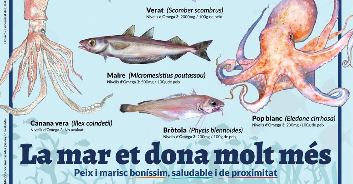 Campanya per promoure el consum despcies pesqueres de proximitat poc conegudes i poc valorades pel consumidor
