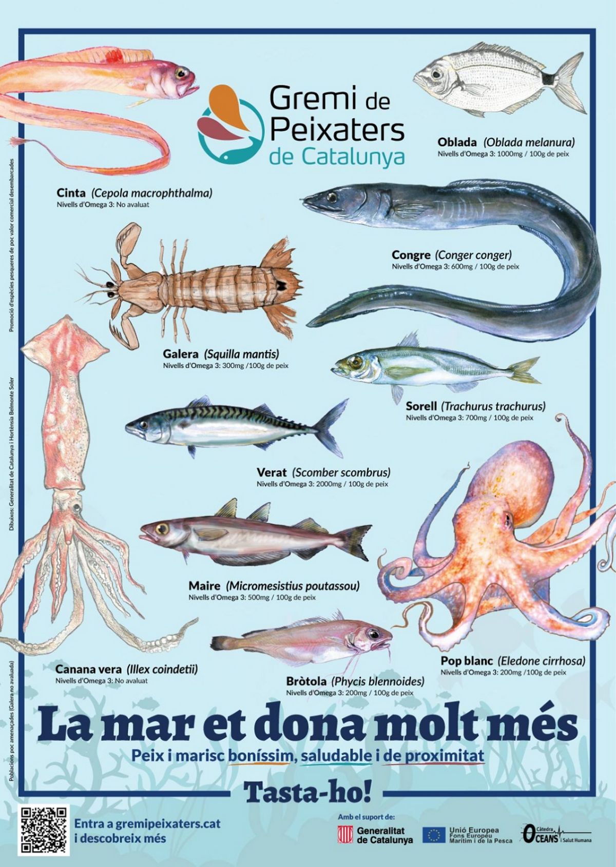 Campanya per promoure el consum d’espcies pesqueres de proximitat poc conegudes i poc valorades pel consumidor | EbreActiu.cat, revista digital d’oci actiu | Terres de l’Ebre ...