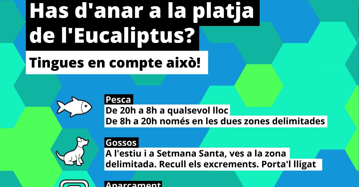 Amposta engega una campanya per conscienciar sobre el bon s de la platja de lEucaliptus