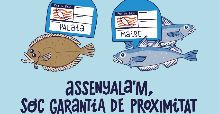 Agricultura llana una campanya per promocionar el peix de proximitat | EbreActiu.cat, revista digital d’oci actiu | Terres de l’Ebre ...