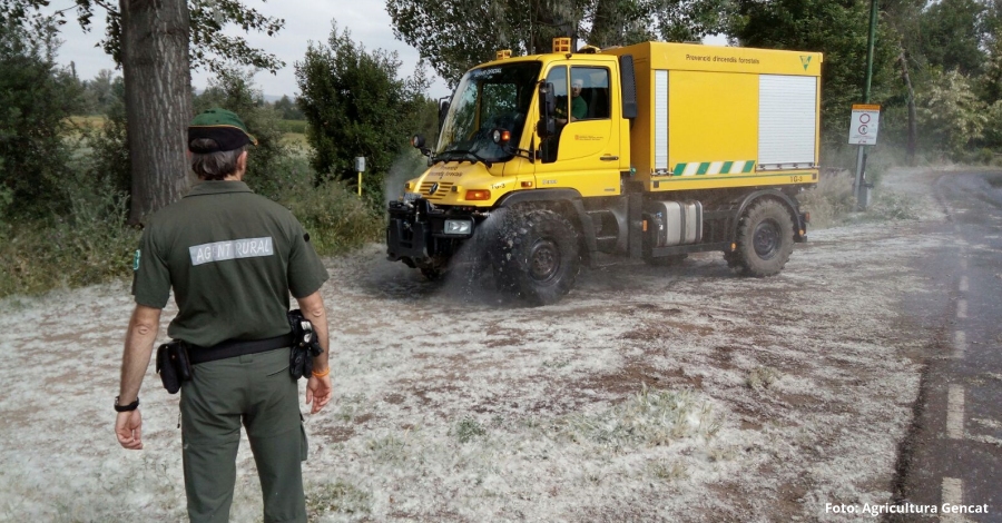 Agricultura inicia la campaa para reducir los incendios en los bosques de ribera