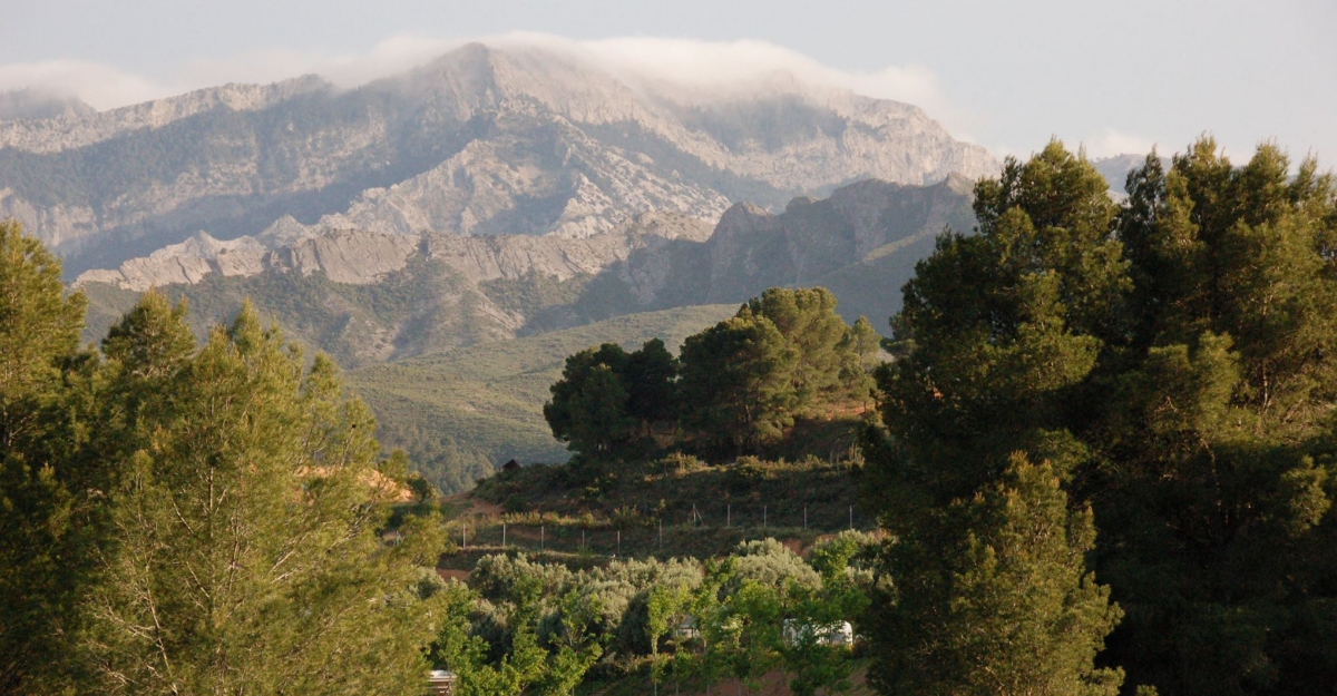 C�MPING TERRA ALTA | EbreActiu.cat, revista digital d&rsquo;oci actiu | Terres de l&rsquo;Ebre ...