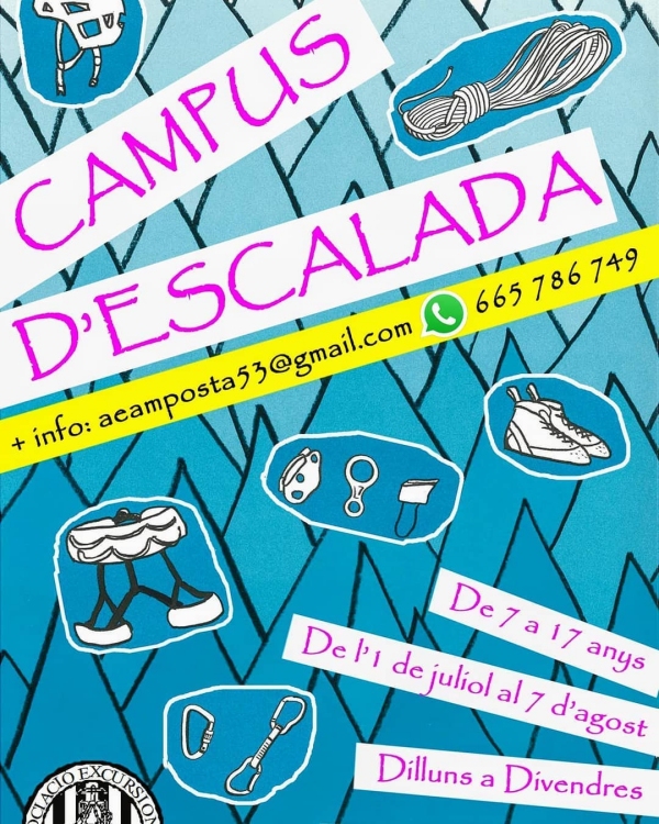 Campus d&rsquo;escalada